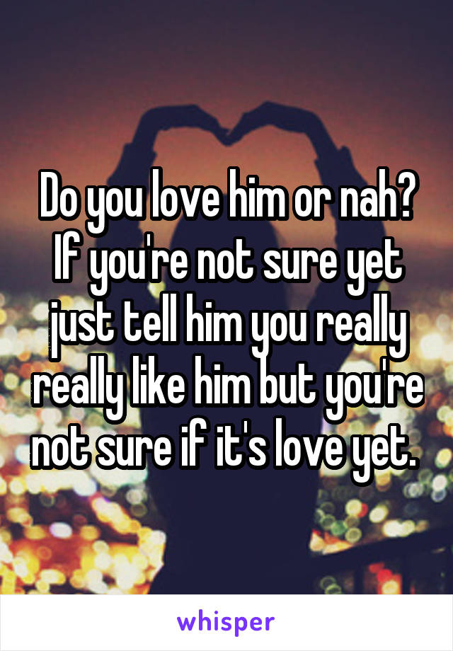 Do you love him or nah? If you're not sure yet just tell him you really really like him but you're not sure if it's love yet. 