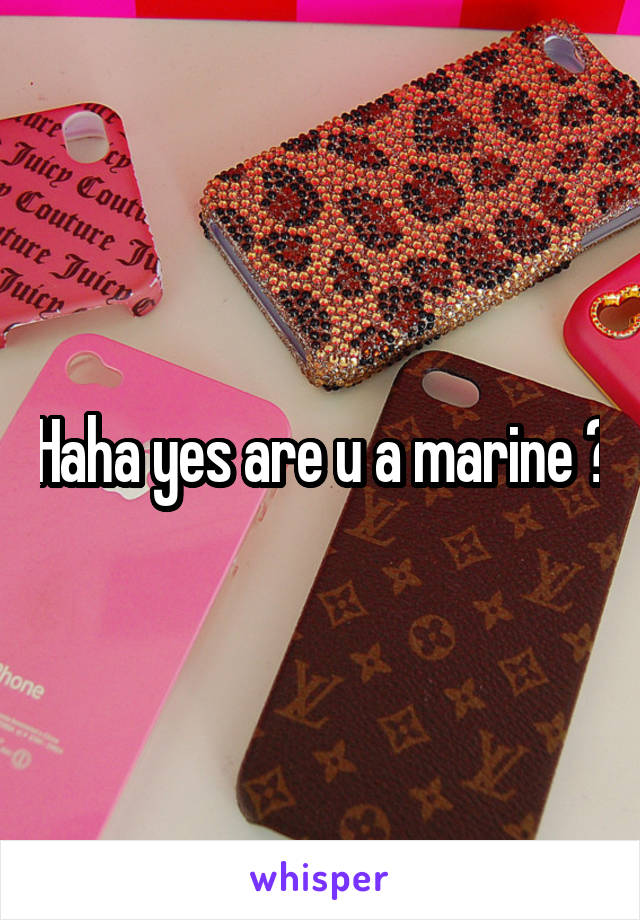 Haha yes are u a marine ?