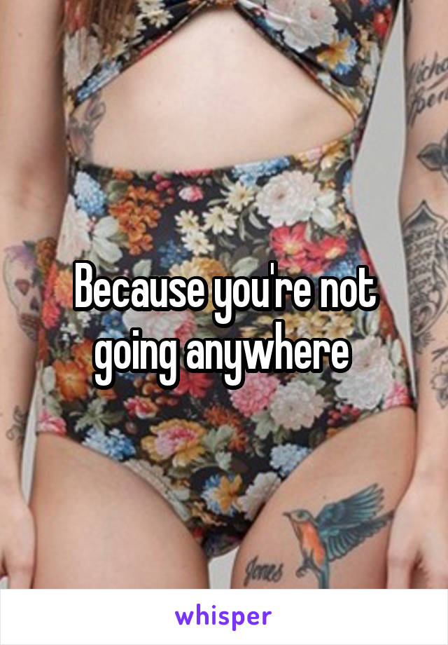 Because you're not going anywhere 