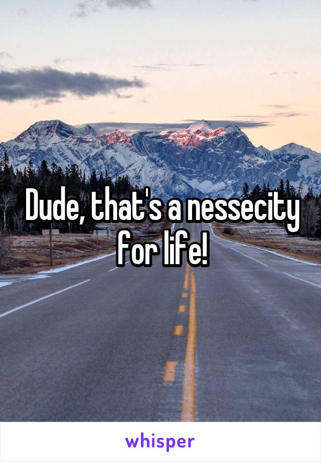 Dude, that's a nessecity for life!