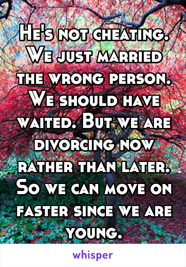 He's not cheating. We just married the wrong person. We should have waited. But we are divorcing now rather than later. So we can move on faster since we are young.