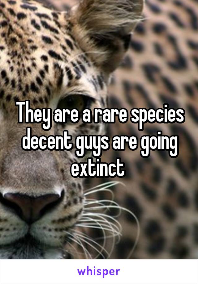They are a rare species decent guys are going extinct 