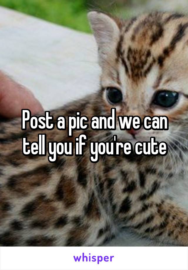 Post a pic and we can tell you if you're cute