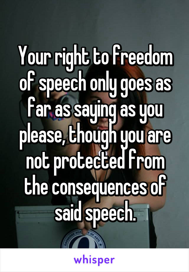 Your right to freedom of speech only goes as far as saying as you please, though you are not protected from the consequences of said speech.