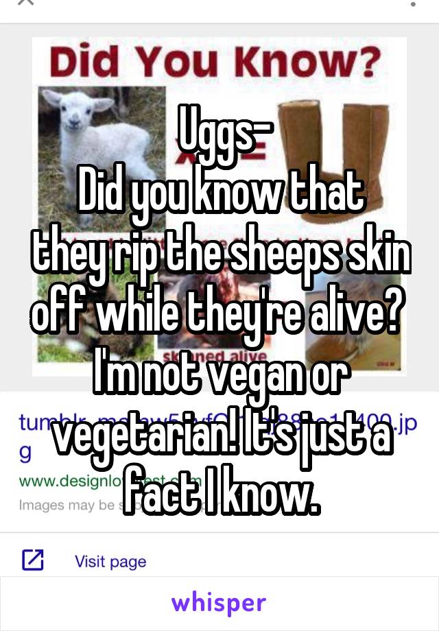  Uggs-
Did you know that they rip the sheeps skin off while they're alive? 
I'm not vegan or vegetarian! It's just a fact I know.