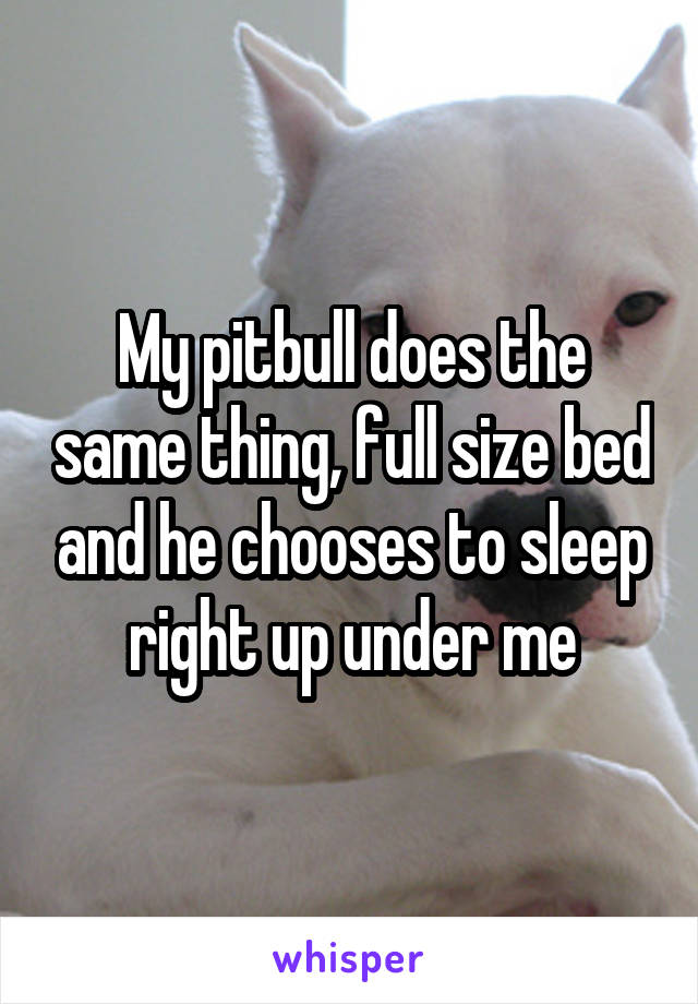 My pitbull does the same thing, full size bed and he chooses to sleep right up under me