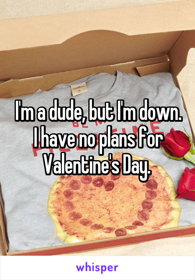 I'm a dude, but I'm down. I have no plans for Valentine's Day. 
