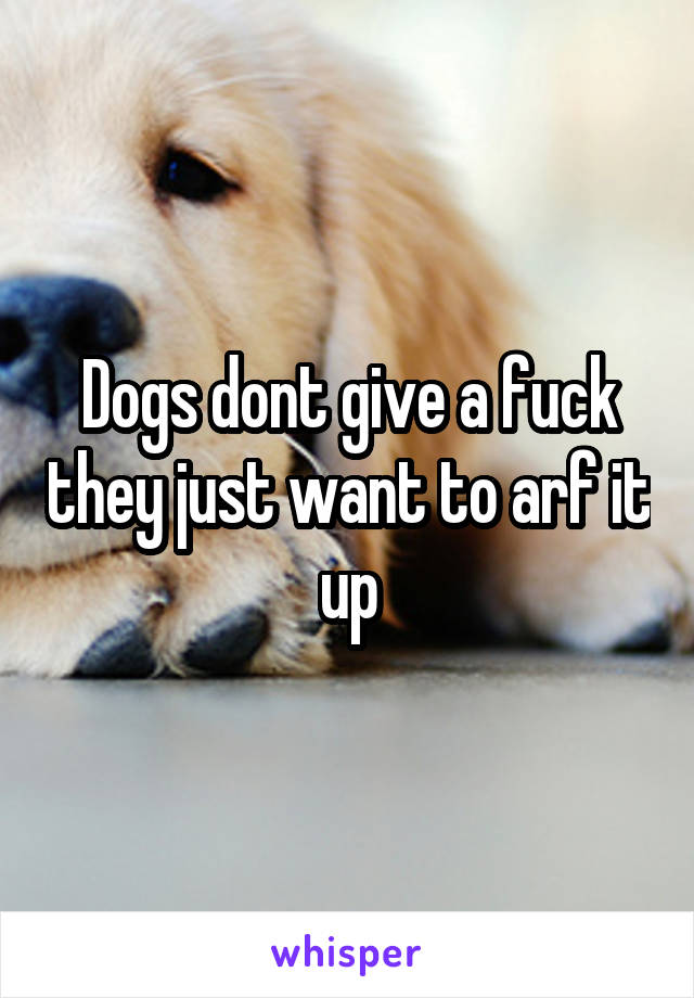 Dogs dont give a fuck they just want to arf it up