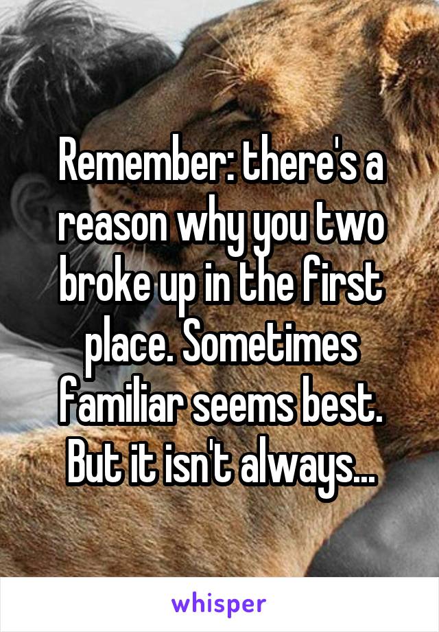 Remember: there's a reason why you two broke up in the first place. Sometimes familiar seems best. But it isn't always...