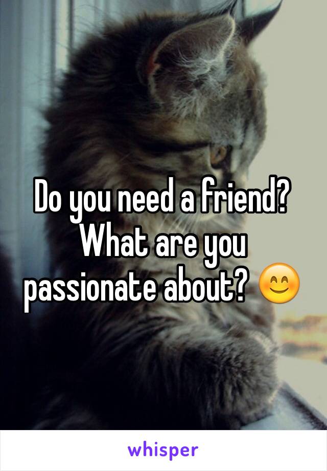 Do you need a friend? What are you passionate about? 😊