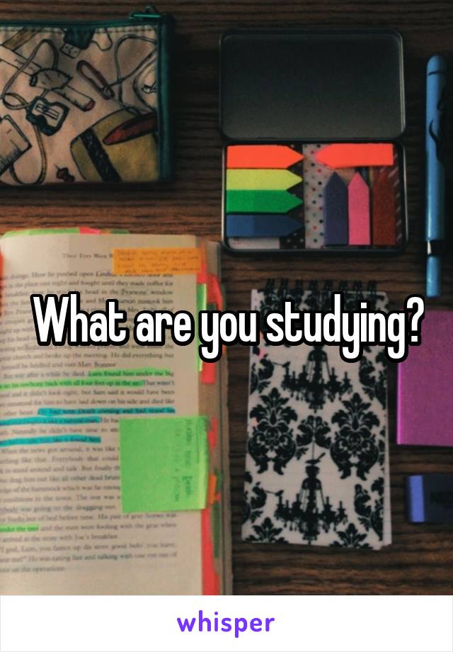 What are you studying?
