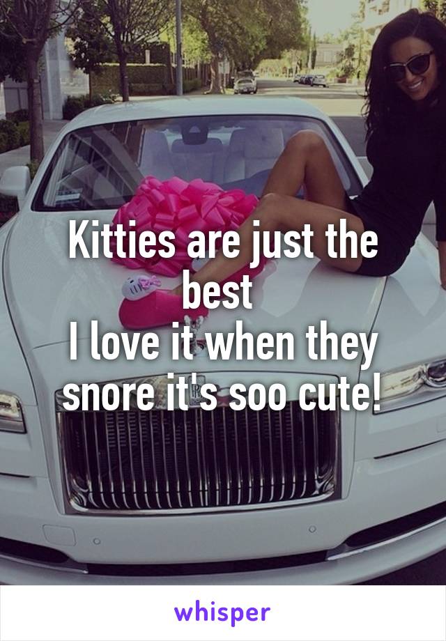 Kitties are just the best 
I love it when they snore it's soo cute!