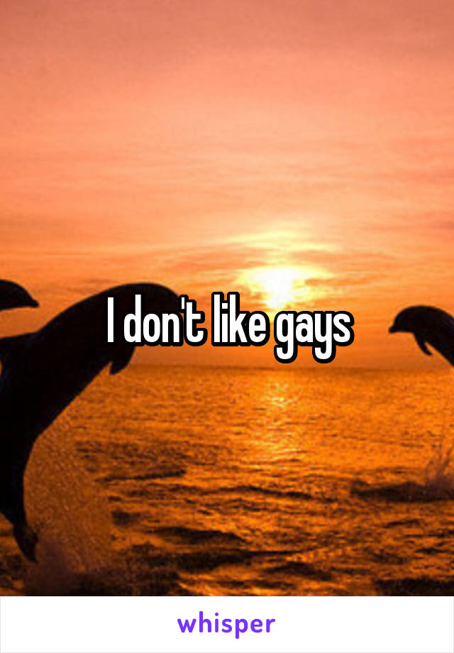 I don't like gays