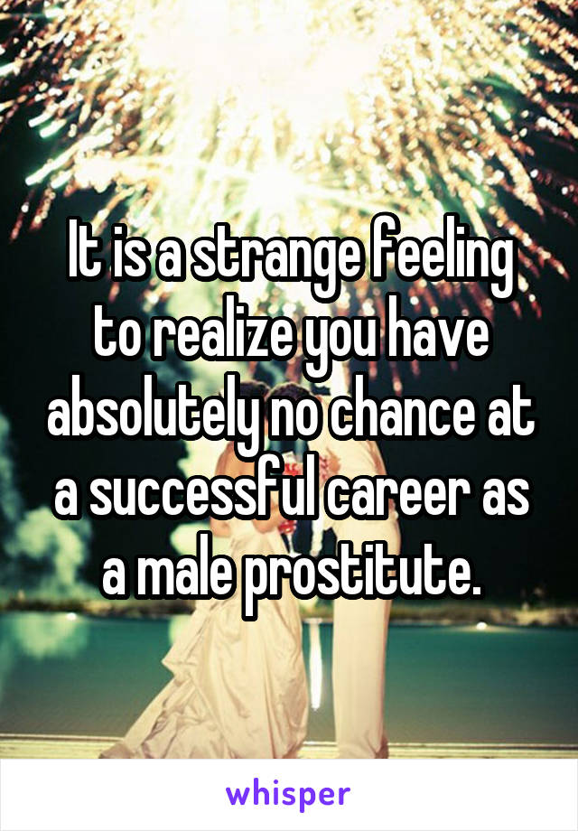 It is a strange feeling to realize you have absolutely no chance at a successful career as a male prostitute.