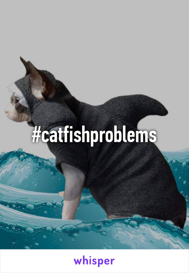 #catfishproblems