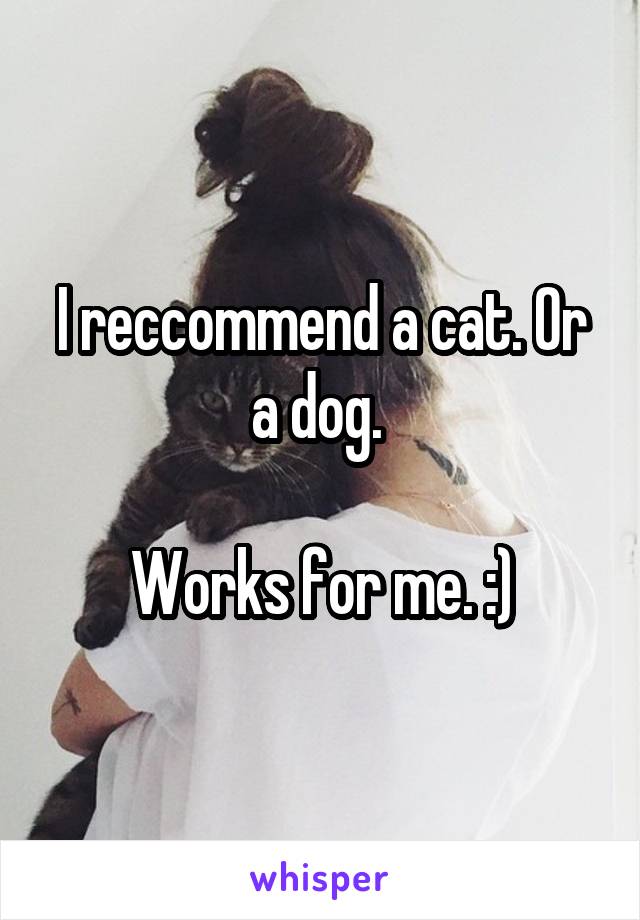 I reccommend a cat. Or a dog. 

Works for me. :)