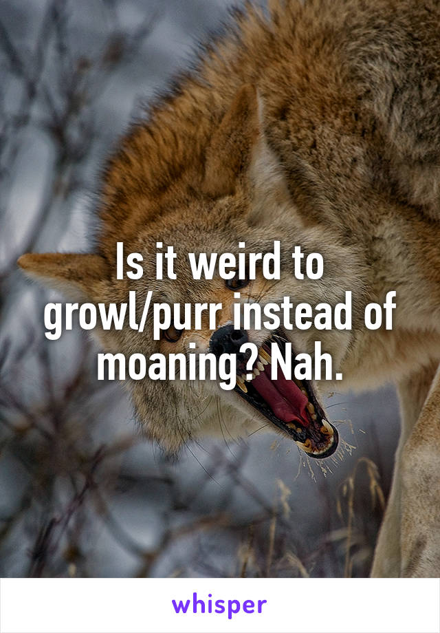 Is it weird to growl/purr instead of moaning? Nah.