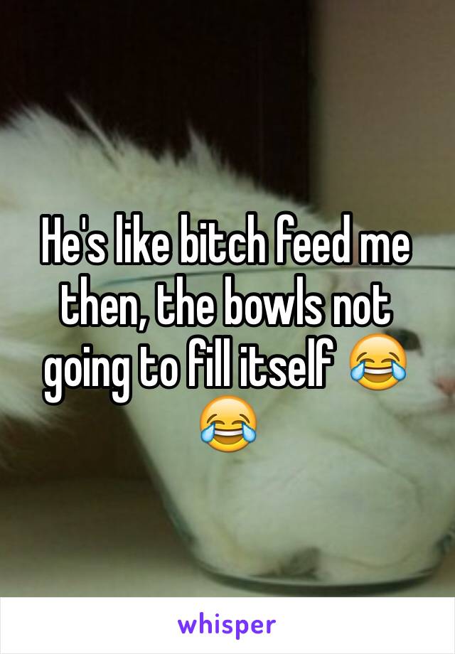 He's like bitch feed me then, the bowls not going to fill itself 😂😂