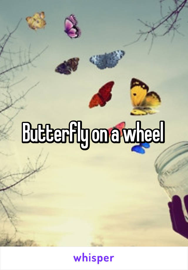 Butterfly on a wheel 