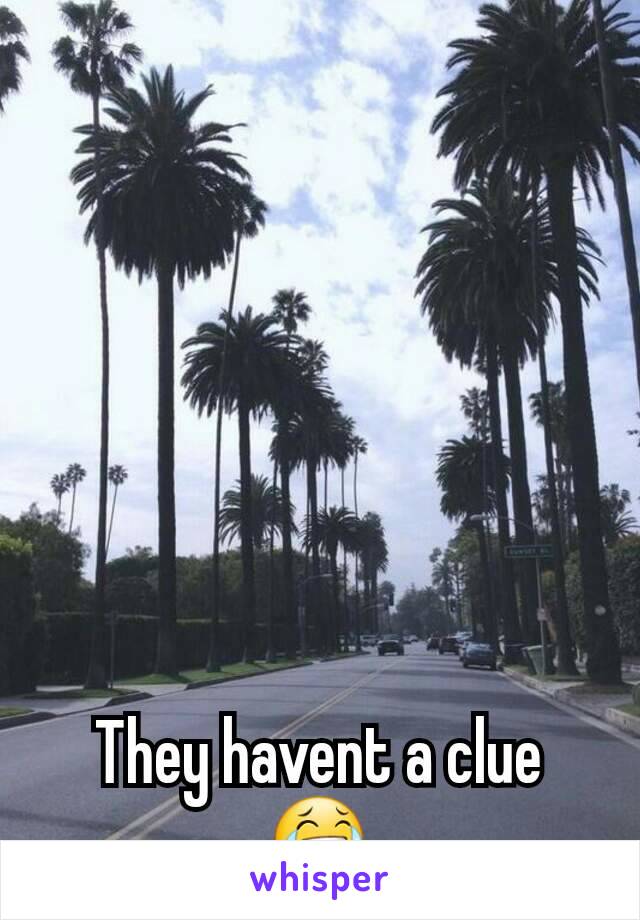 They havent a clue 😂
