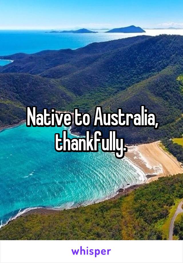 Native to Australia, thankfully. 