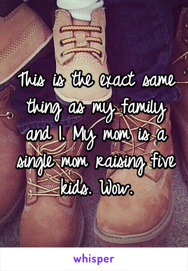 This is the exact same thing as my family and I. My mom is a single mom raising five kids. Wow.