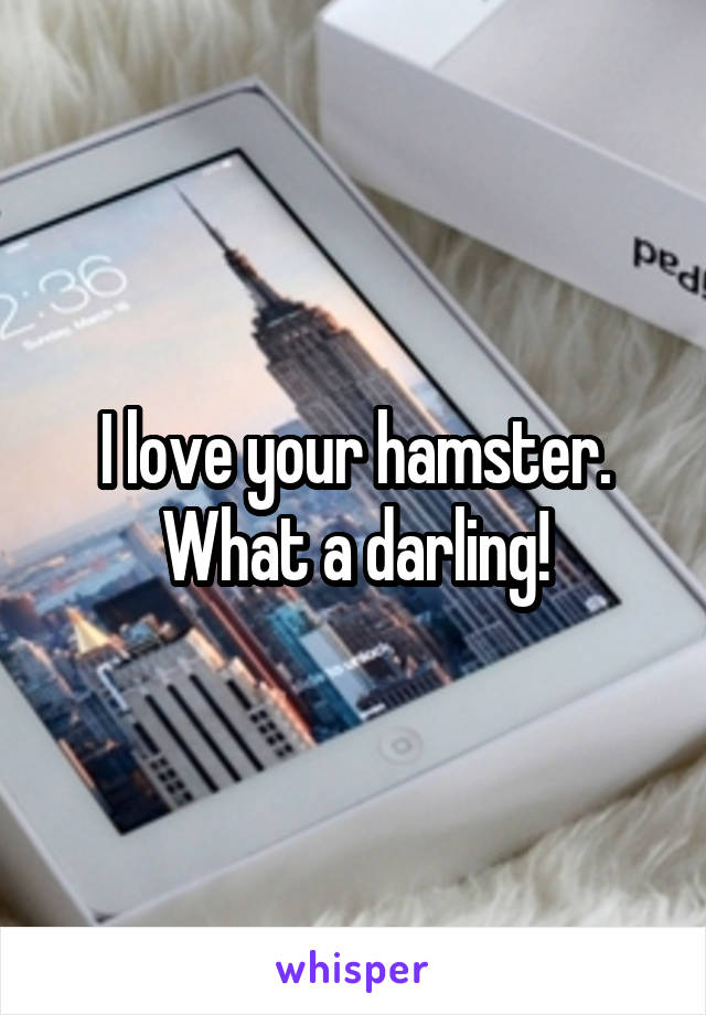 I love your hamster. What a darling!