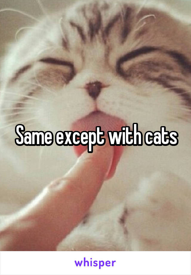 Same except with cats
