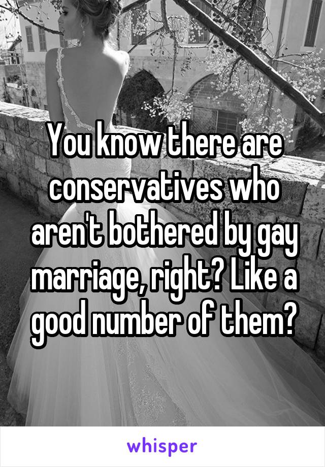 You know there are conservatives who aren't bothered by gay marriage, right? Like a good number of them?