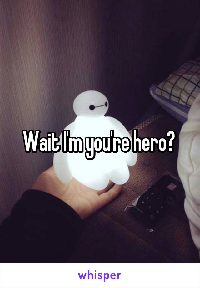Wait I'm you're hero? 