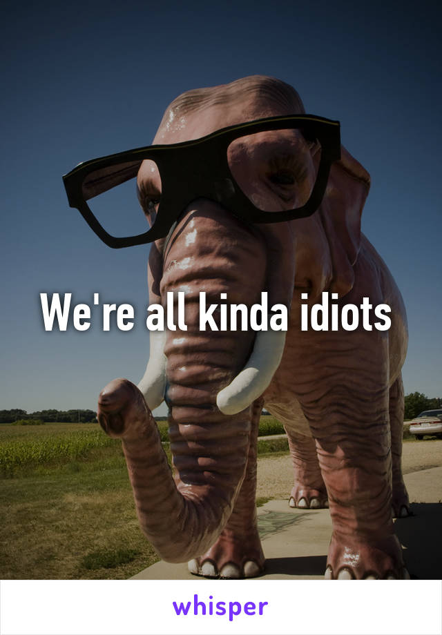 We're all kinda idiots 