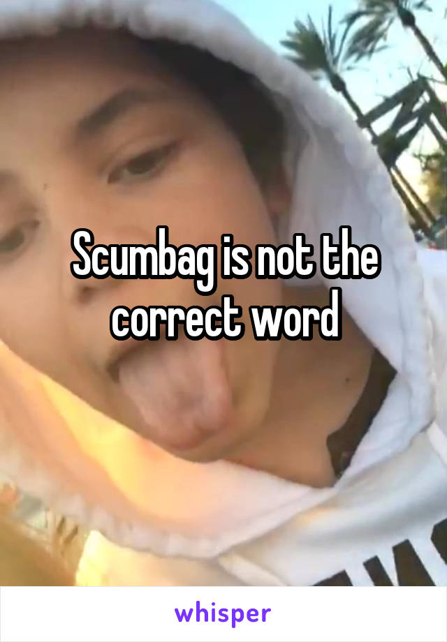 Scumbag is not the correct word
