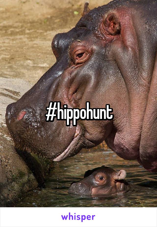 #hippohunt