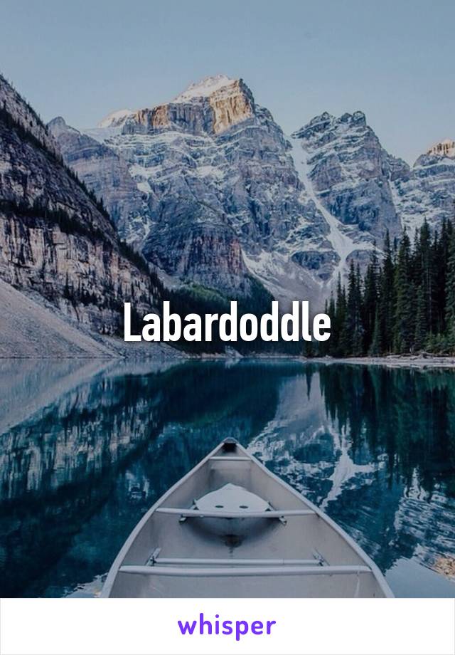 Labardoddle