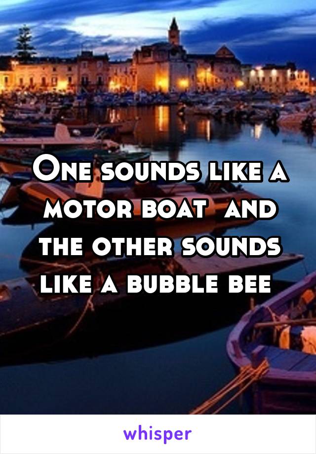 One sounds like a motor boat  and the other sounds like a bubble bee 