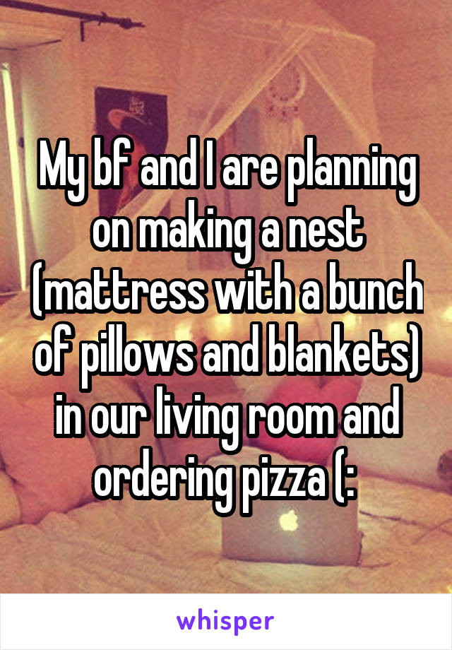 My bf and I are planning on making a nest (mattress with a bunch of pillows and blankets) in our living room and ordering pizza (: 