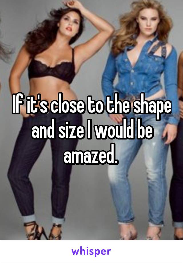 If it's close to the shape and size I would be amazed. 