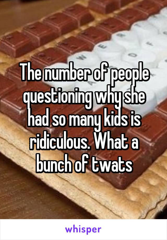 The number of people questioning why she had so many kids is ridiculous. What a bunch of twats