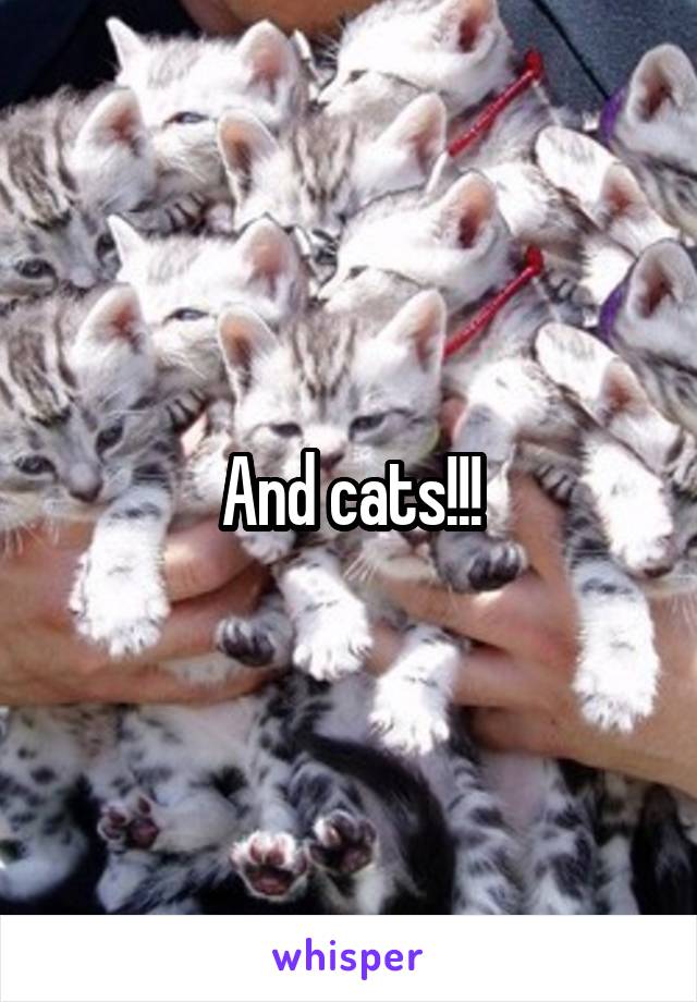 And cats!!!