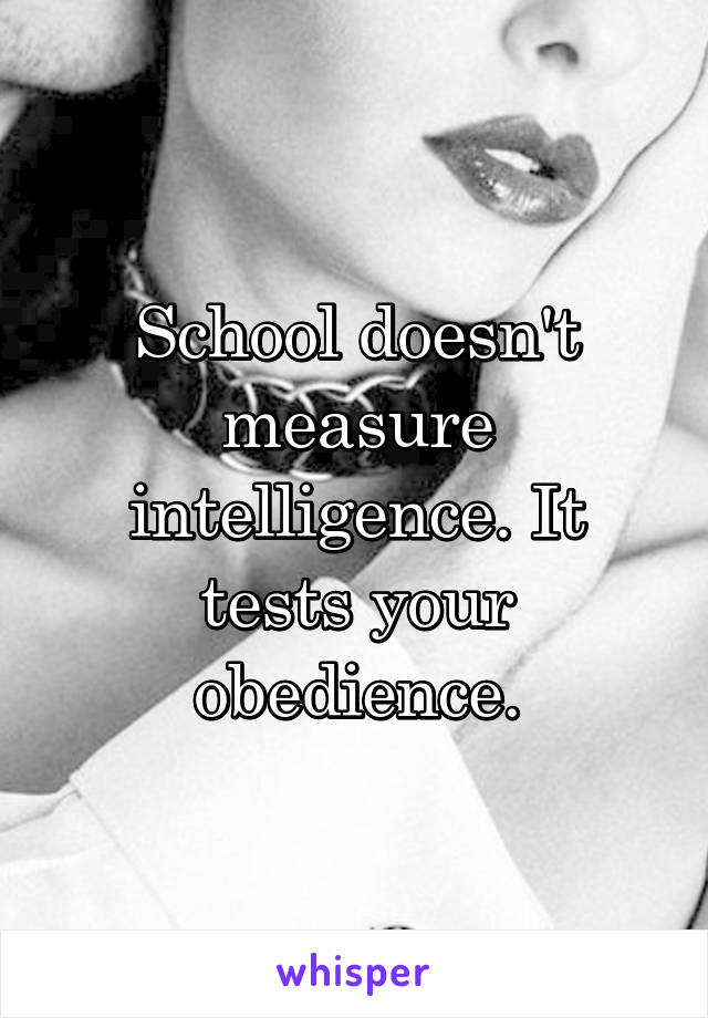 School doesn't measure intelligence. It tests your obedience.