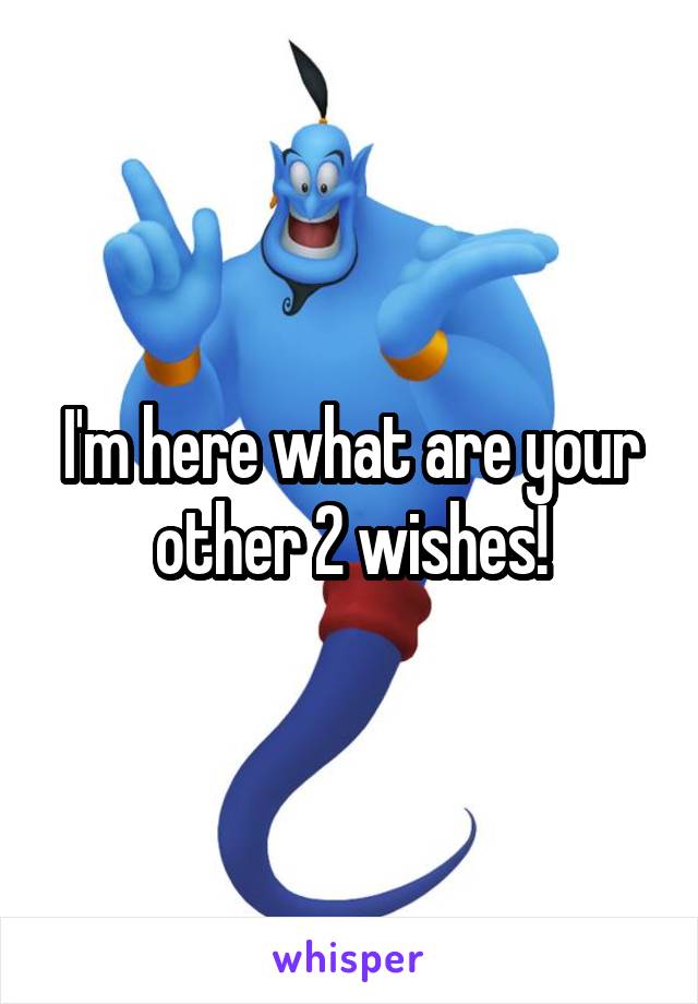 I'm here what are your other 2 wishes!