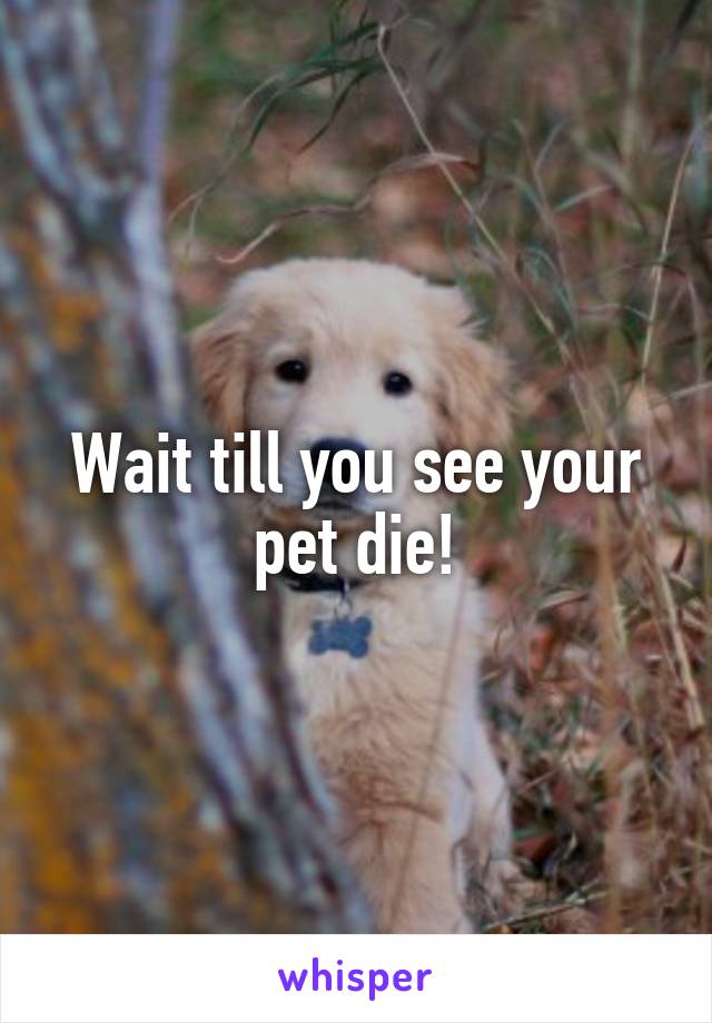 Wait till you see your pet die!