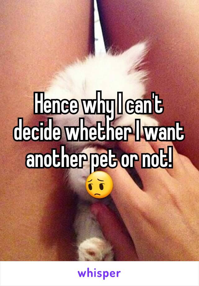 Hence why I can't decide whether I want another pet or not! 😔