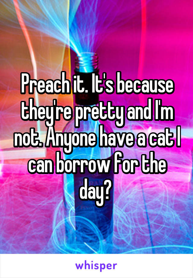 Preach it. It's because they're pretty and I'm not. Anyone have a cat I can borrow for the day? 