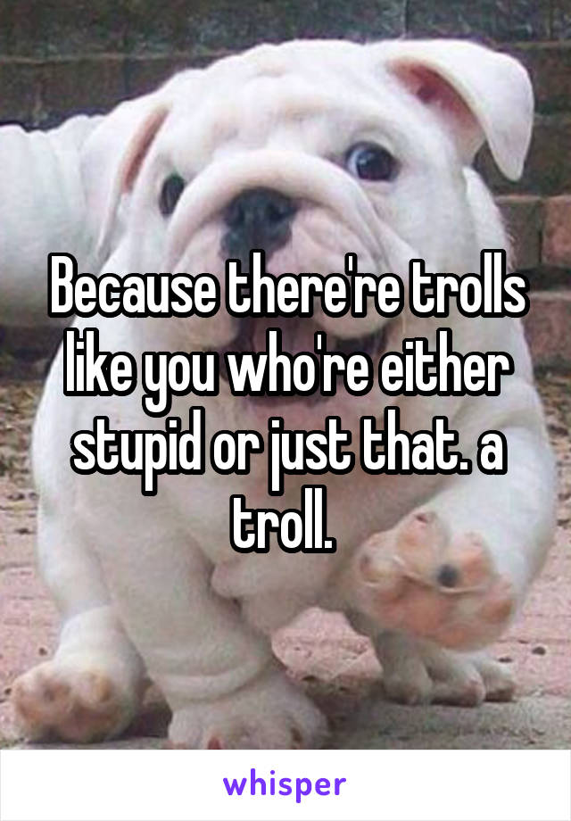 Because there're trolls like you who're either stupid or just that. a troll. 