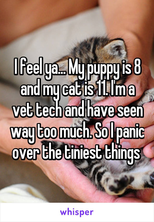 I feel ya... My puppy is 8 and my cat is 11. I'm a vet tech and have seen way too much. So I panic over the tiniest things 