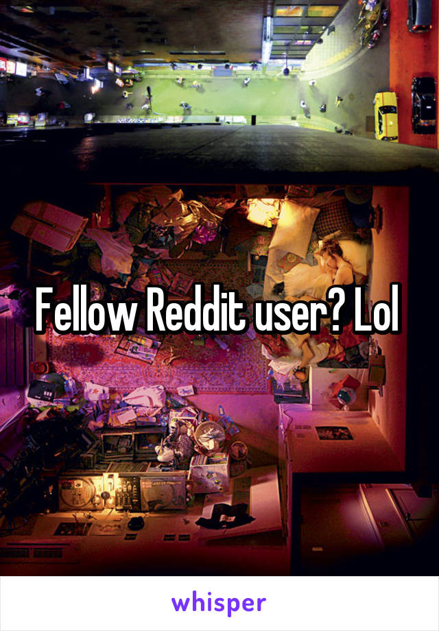 Fellow Reddit user? Lol 