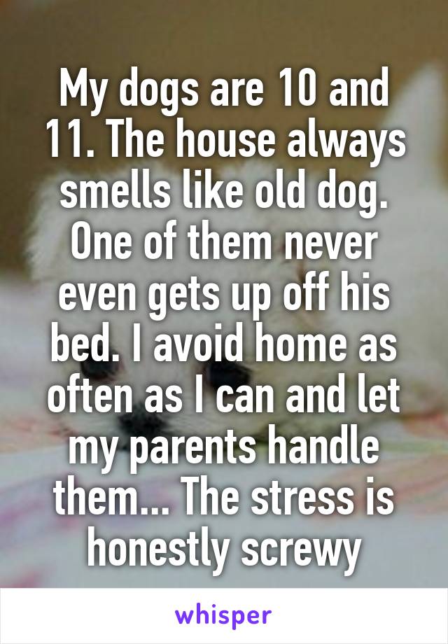 My dogs are 10 and 11. The house always smells like old dog. One of them never even gets up off his bed. I avoid home as often as I can and let my parents handle them... The stress is honestly screwy