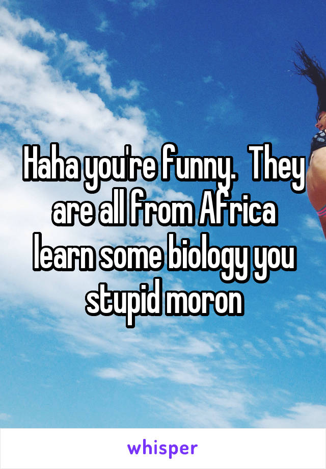 Haha you're funny.  They are all from Africa learn some biology you stupid moron