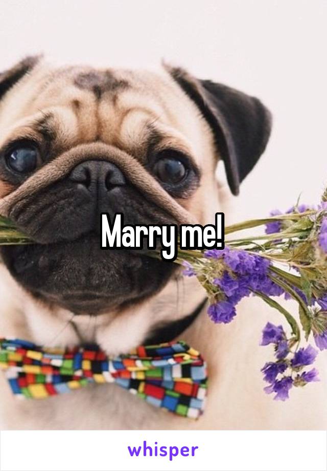 Marry me! 